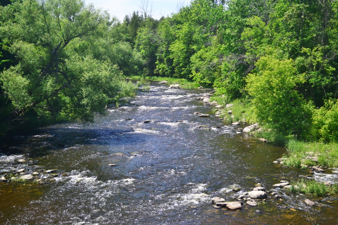 Jock River