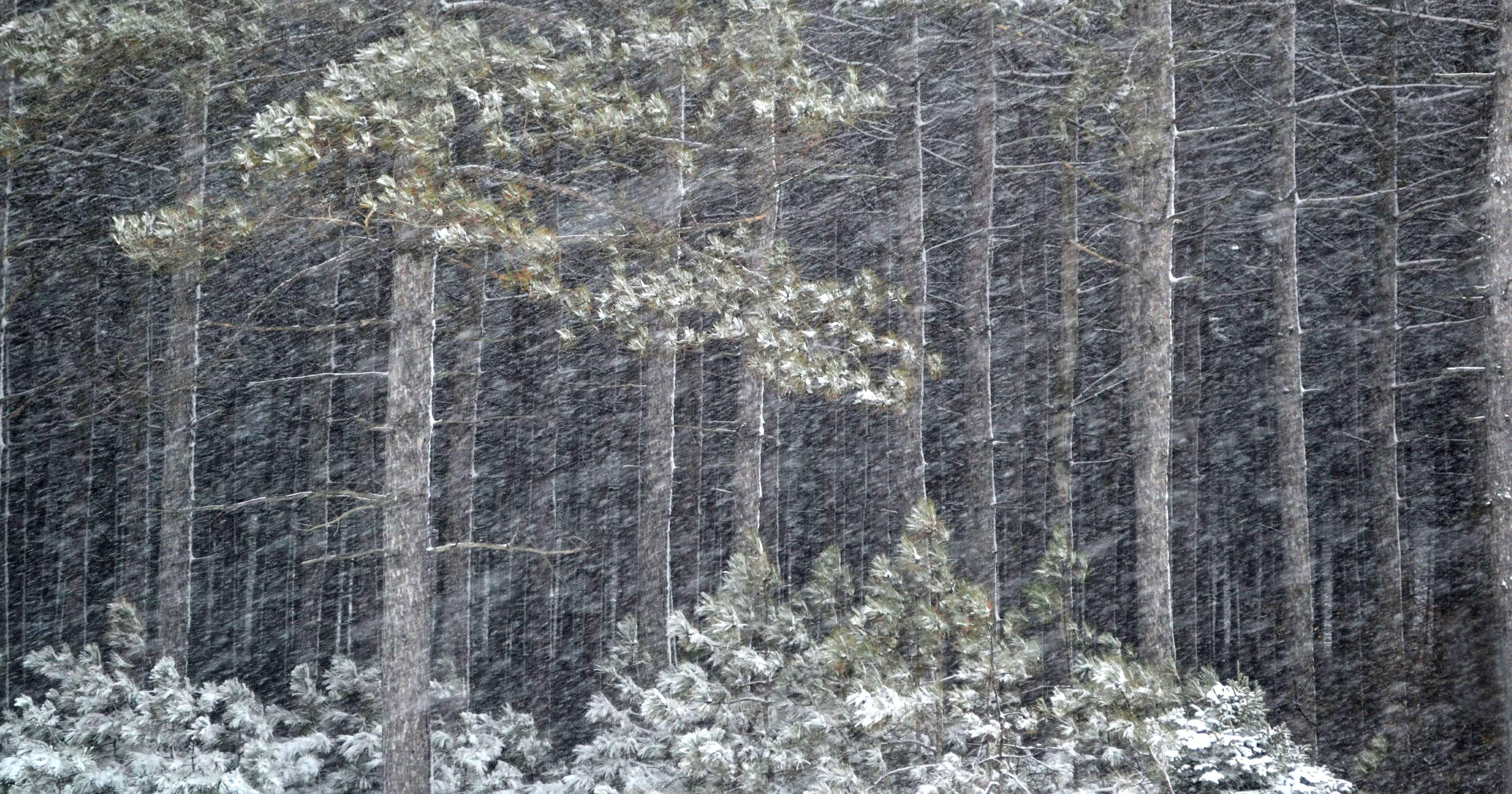 Winter is coming