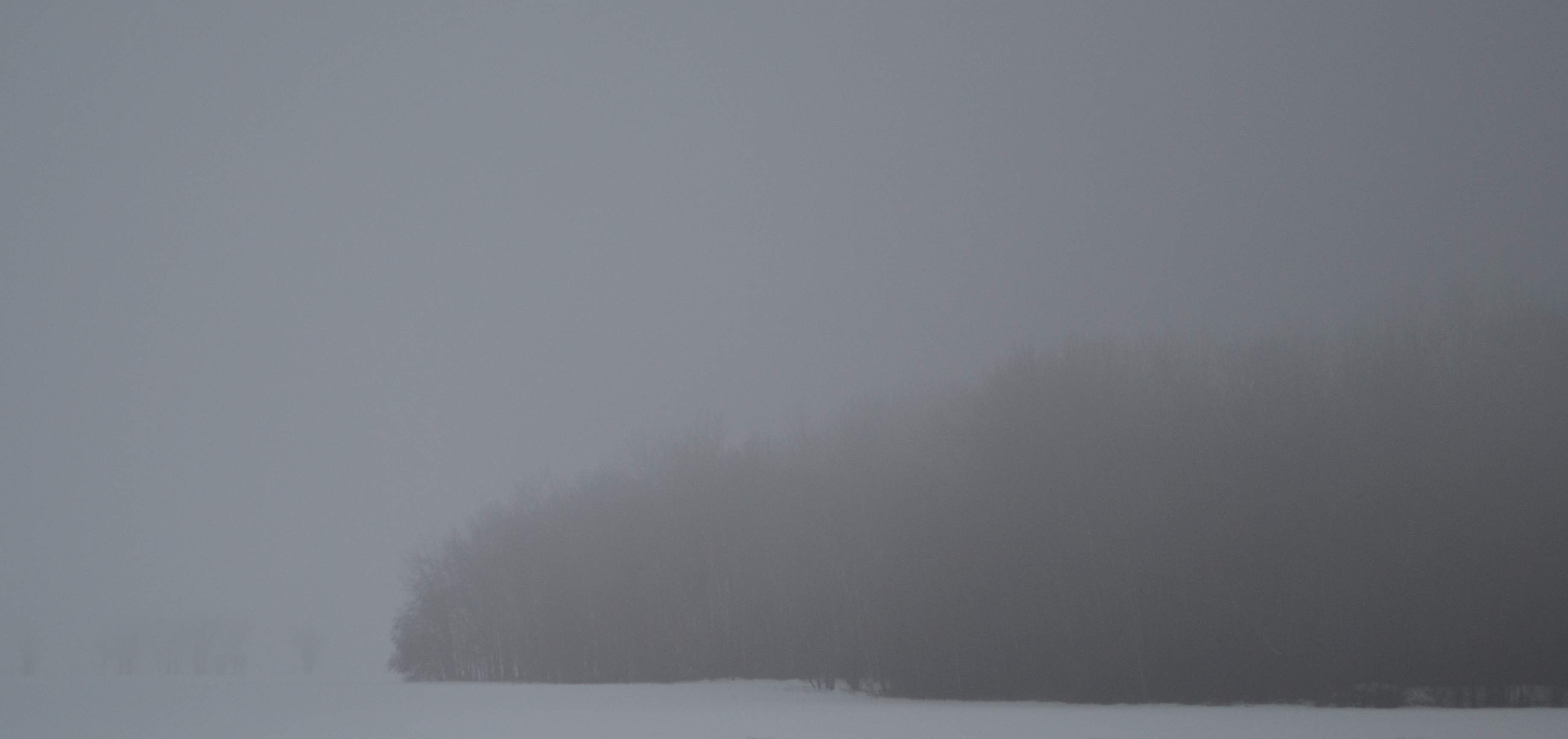 Winter Air