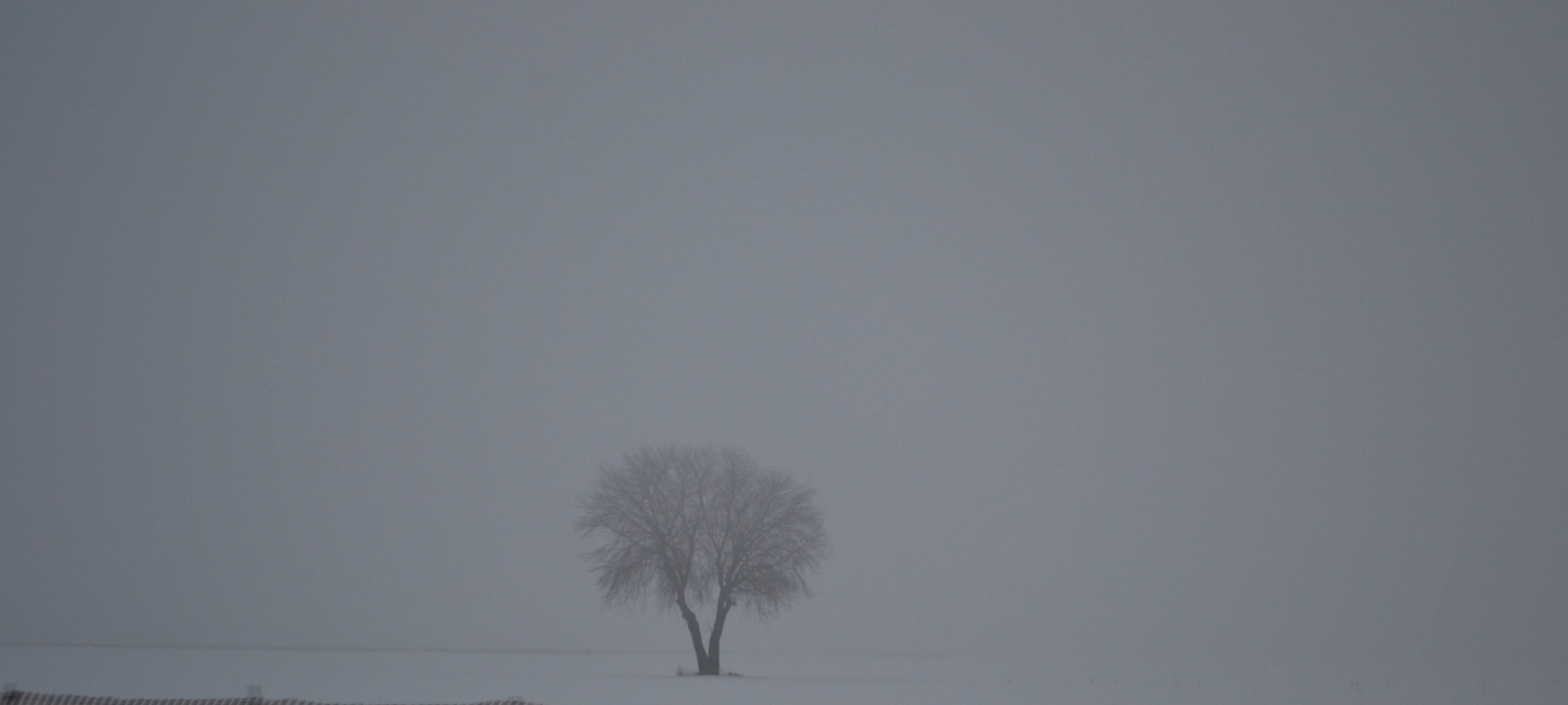 Winter field