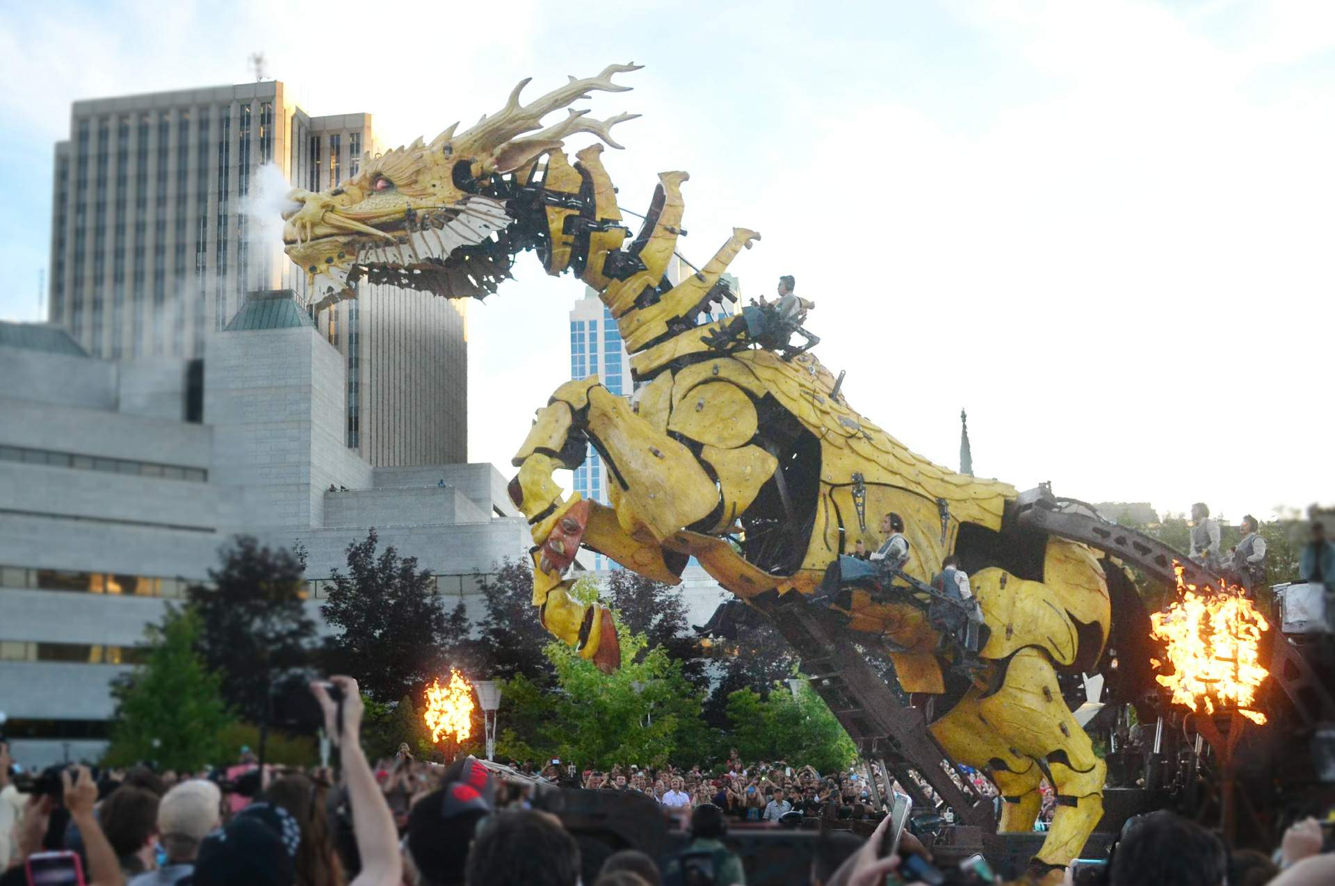 French Dragon, Long Ma.